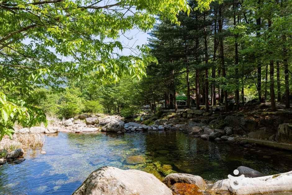 단양천동계곡캠핑장 그린농원