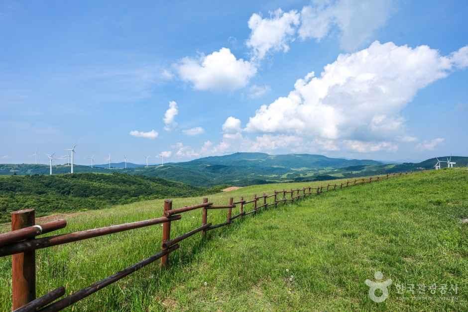 Samyang Roundhill Unveiling a Vast Meadow Landscape