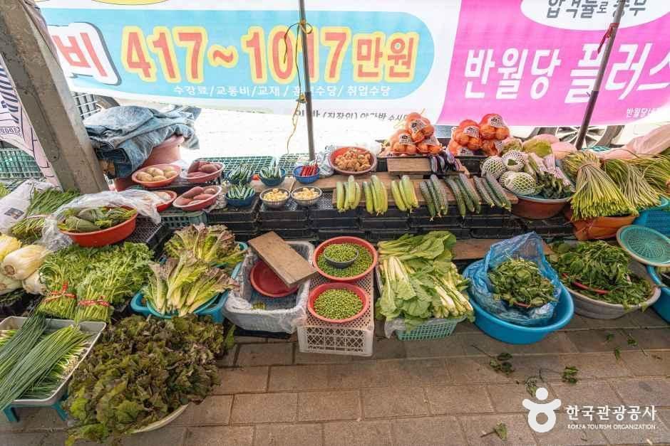 수성시장 사진 5