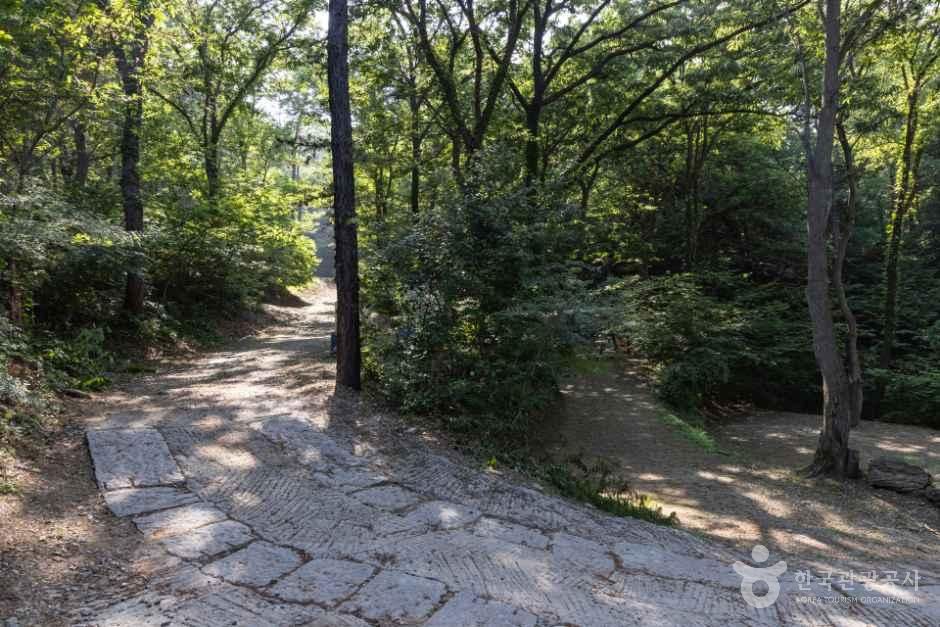 뮤즈캠핑장 사진 6