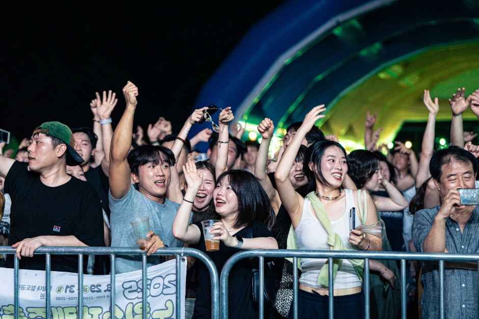 노원수제맥주축제 축제 사진 10