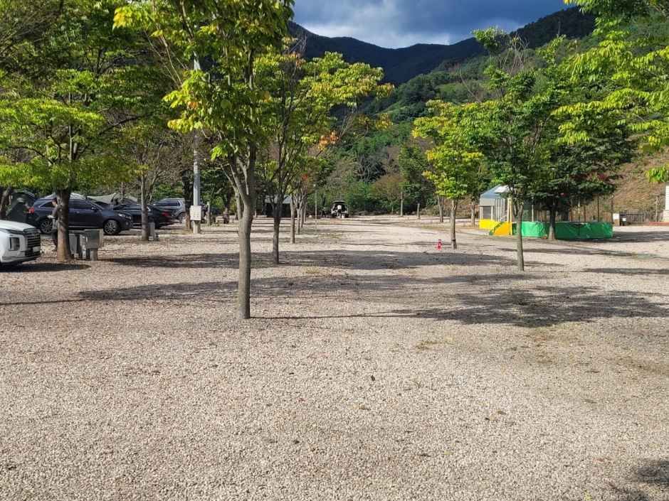 지리산 당근오토캠핑장 사진 3