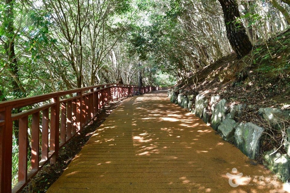 해운대 동백섬