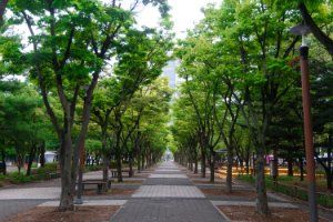 보라매공원(대전)