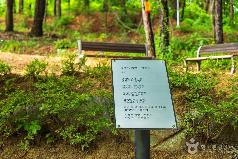 대전문학관