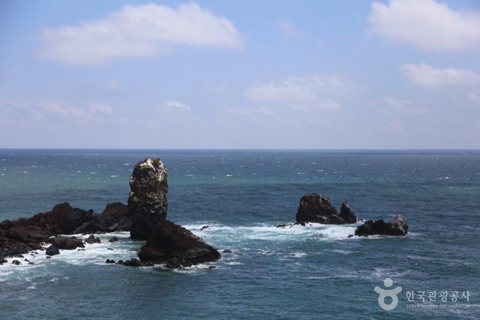 섭지코지 반려동물 여행 사진 3