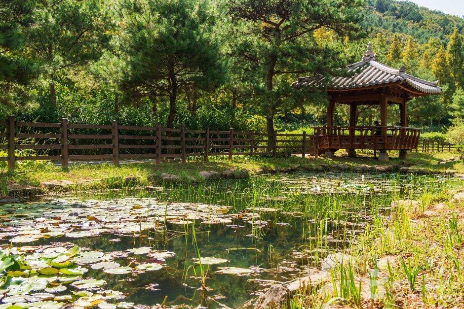 충남_보령_무궁화수목원_외부_2.jpg
