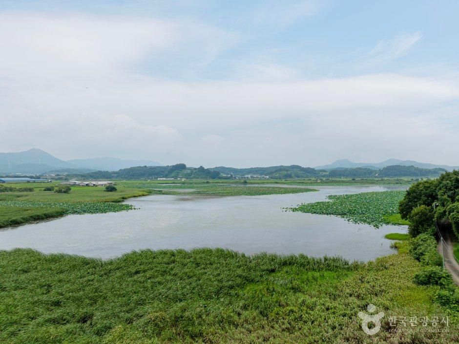 보령_진죽저수지 (4).jpg