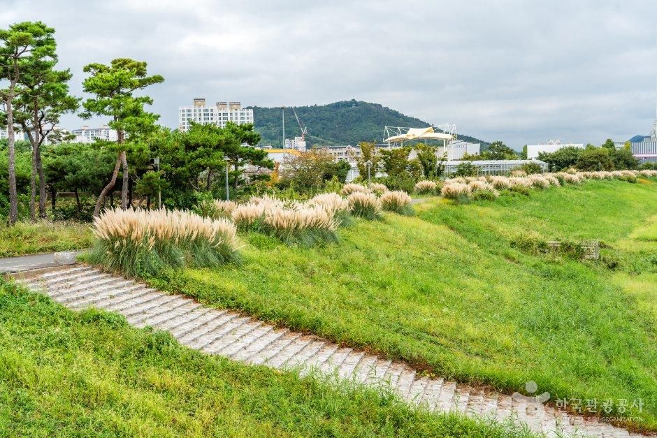 함평천수변공원