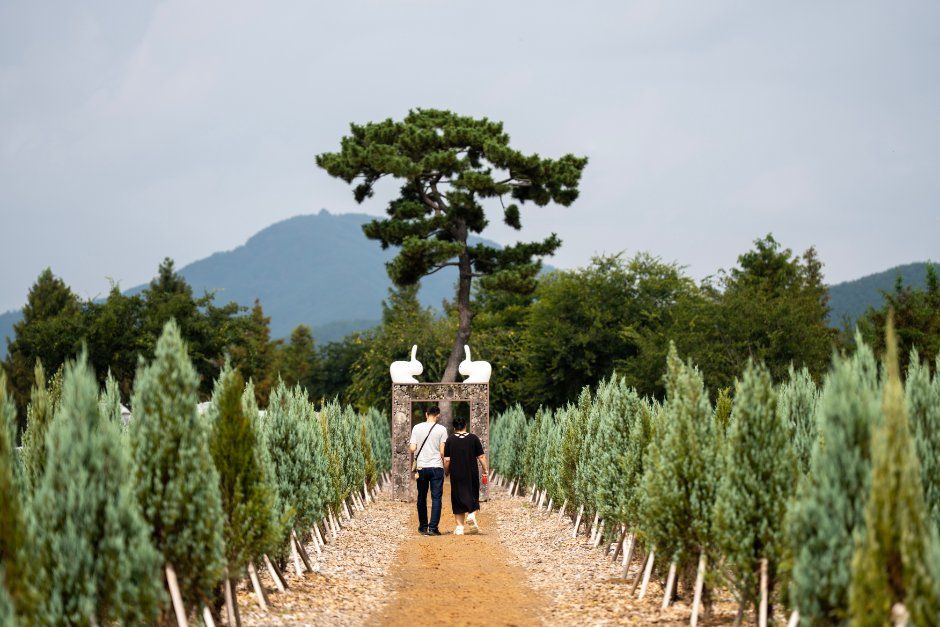 Uiryeong Gigang Rich Flower Festival