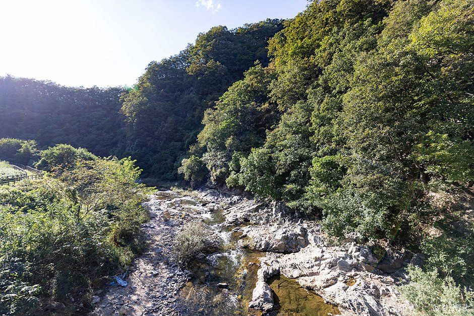 딴산