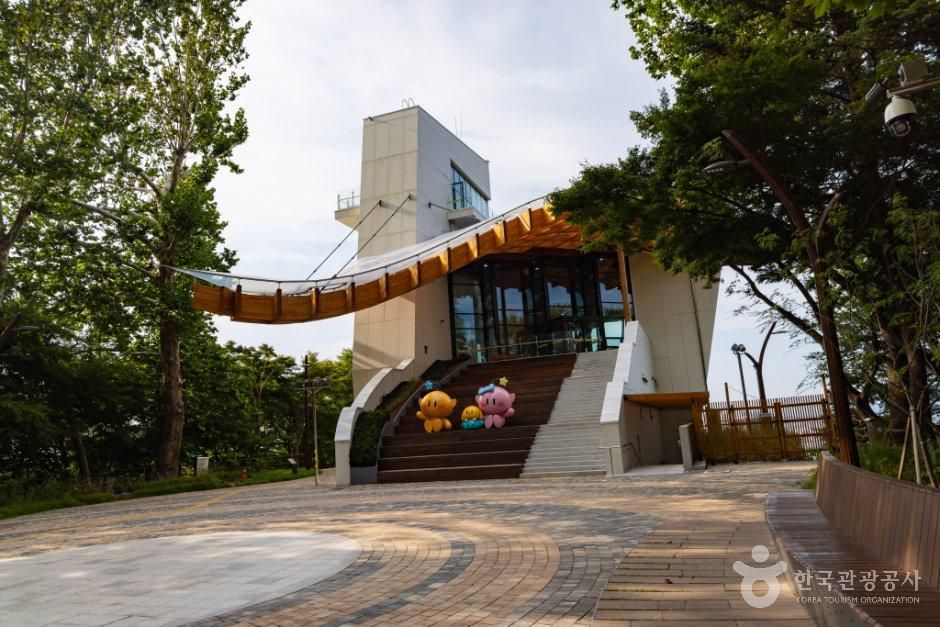 대전_중구_보문산큰나무전망대 (2).jpg