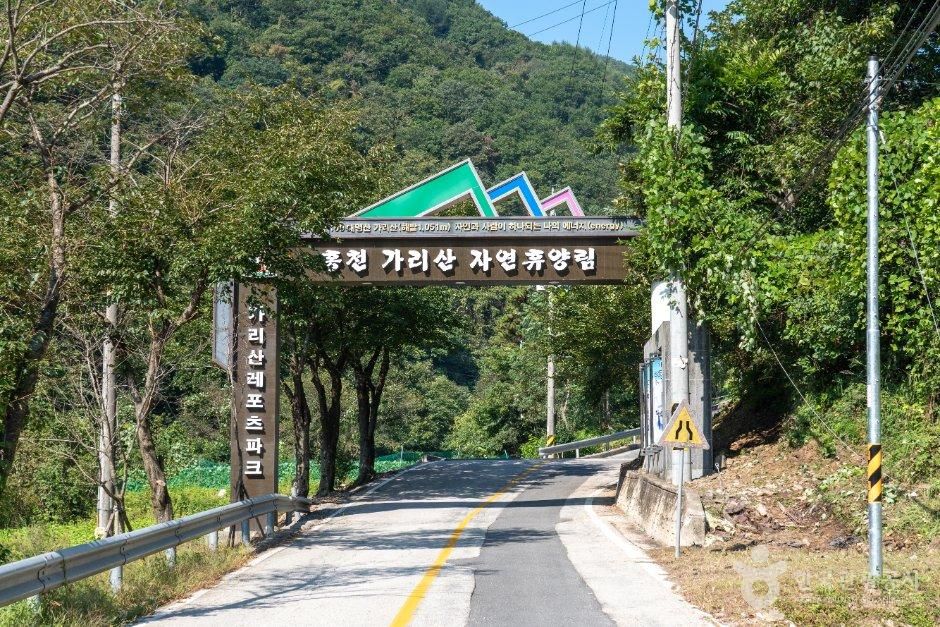강원_홍천_가리산자연휴양림 (1).jpg