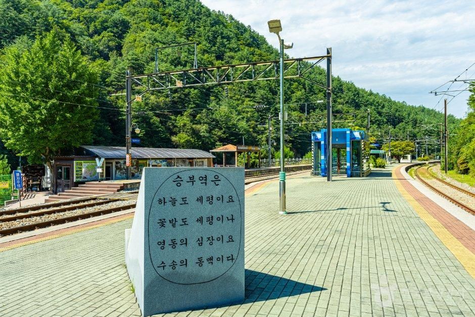 경북_봉화_승부역(봉화) (6).jpg