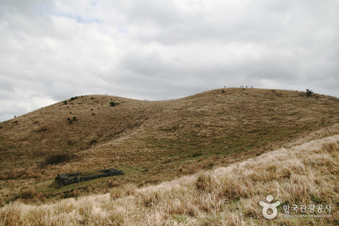 용눈이오름 용눈이오름