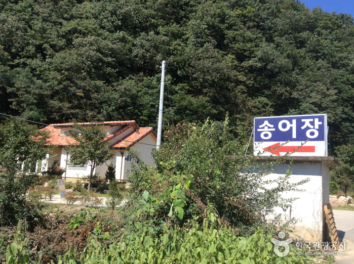 ミンジマス養殖場