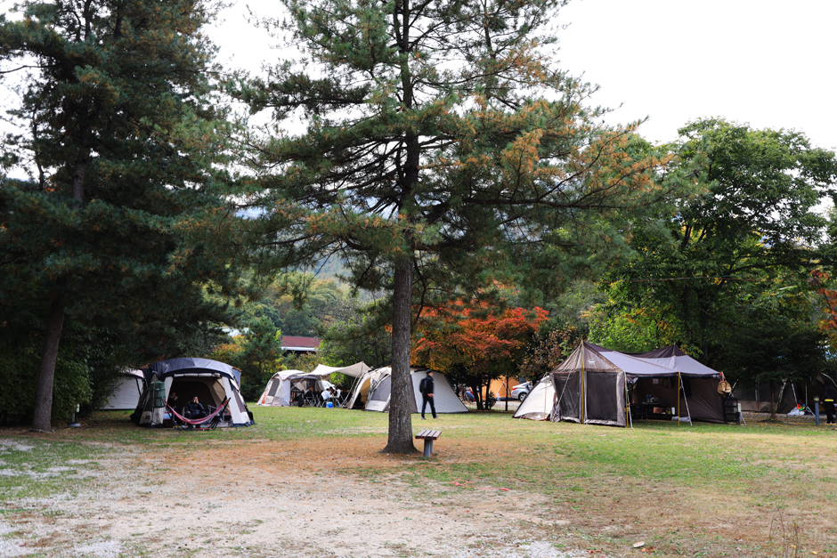 Surak Campground
