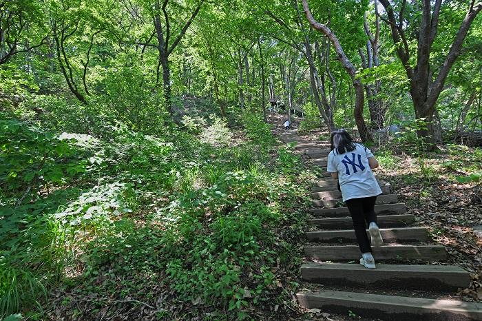 Stairs connecting Suspension Bridge and Wind Bath Rest Area