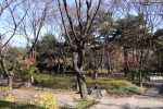 장충단공원 (3)