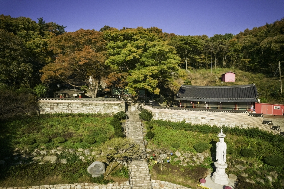 九节庵(洪城)