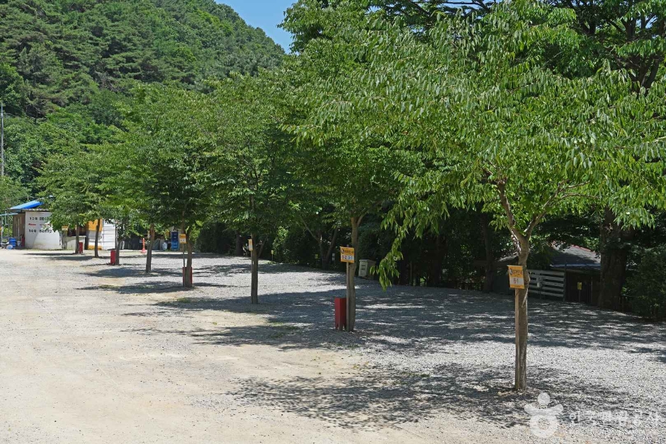 光德山观光农园