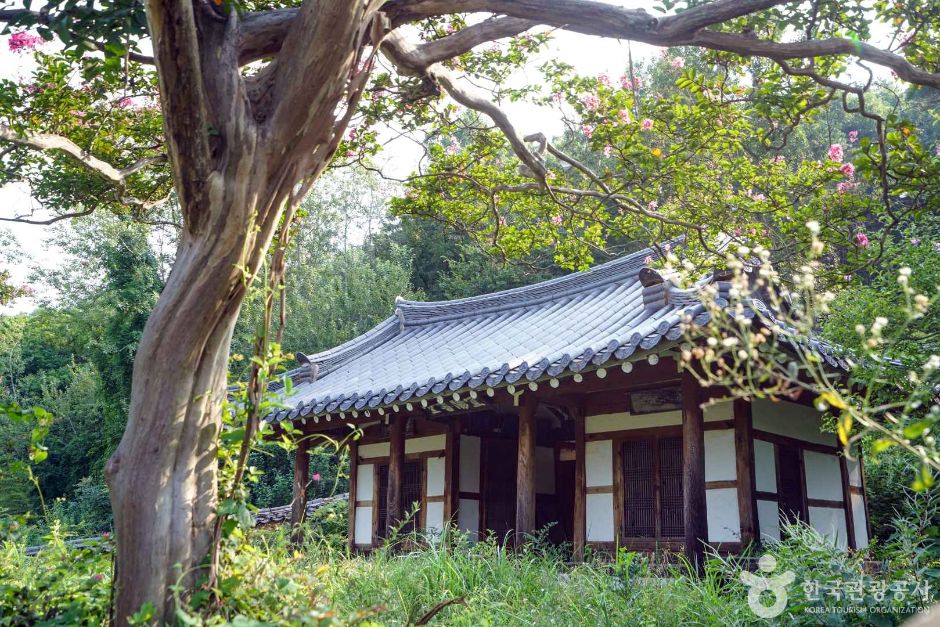 義陽書院