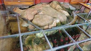 쌍계사(안산)