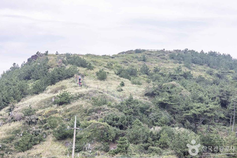송악산