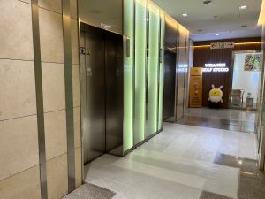 도락 사진 3