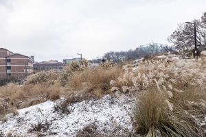 초안산