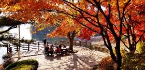  2025 청남대 가을축제 3