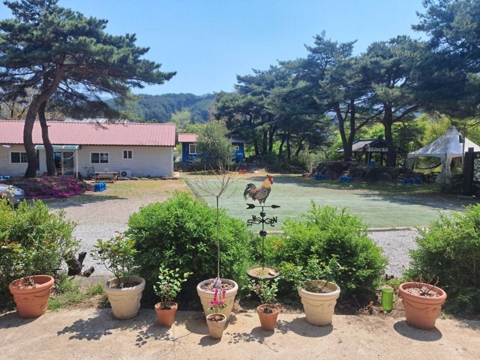 明川水の森村