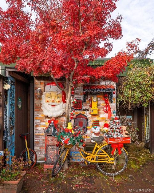 겨울 실내 가볼만한곳 전국 크리스마스 카페_트리인블루_3-3