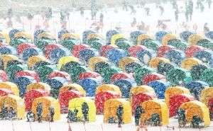 2026 평창송어축제 6