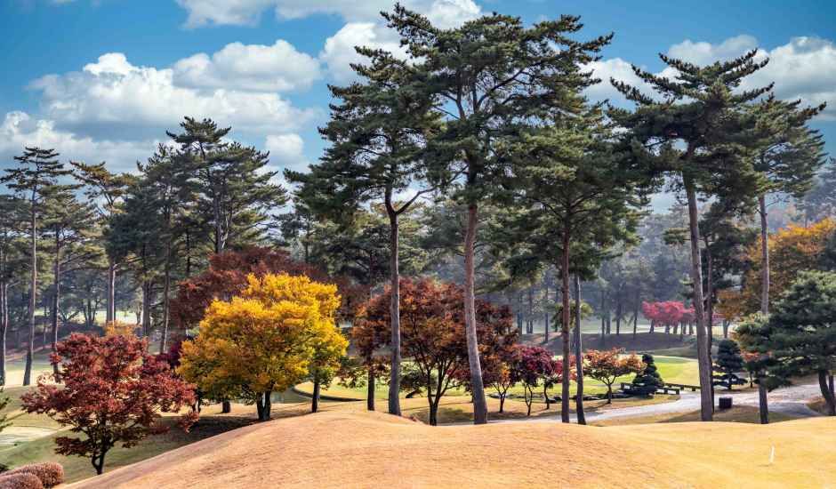 여주_솔모로 컨트리클럽 (5).jpg