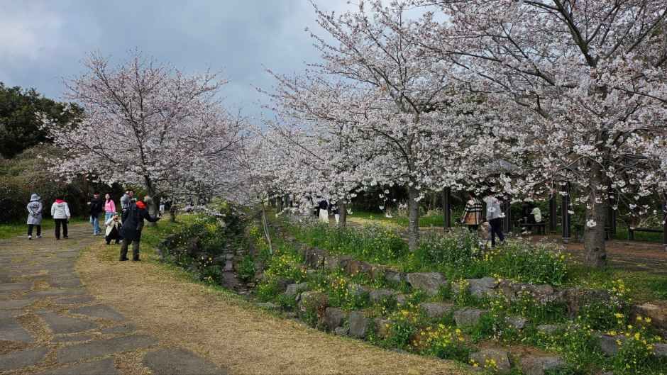 서귀포 예래생태마을