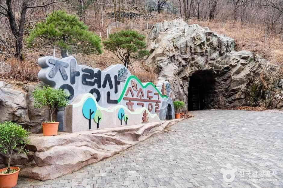 장령산자연휴양림 숲속동굴