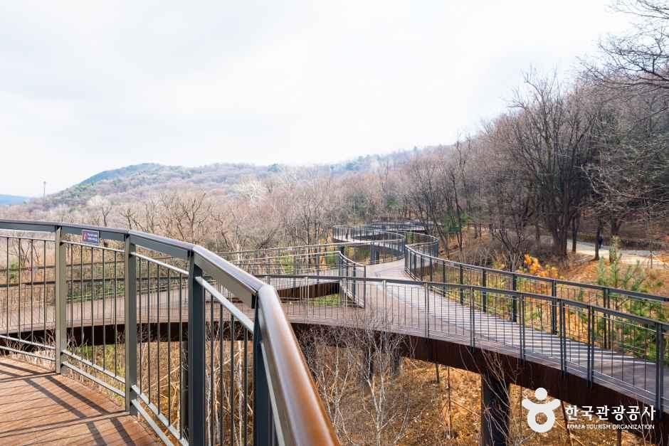 용마산 스카이워크