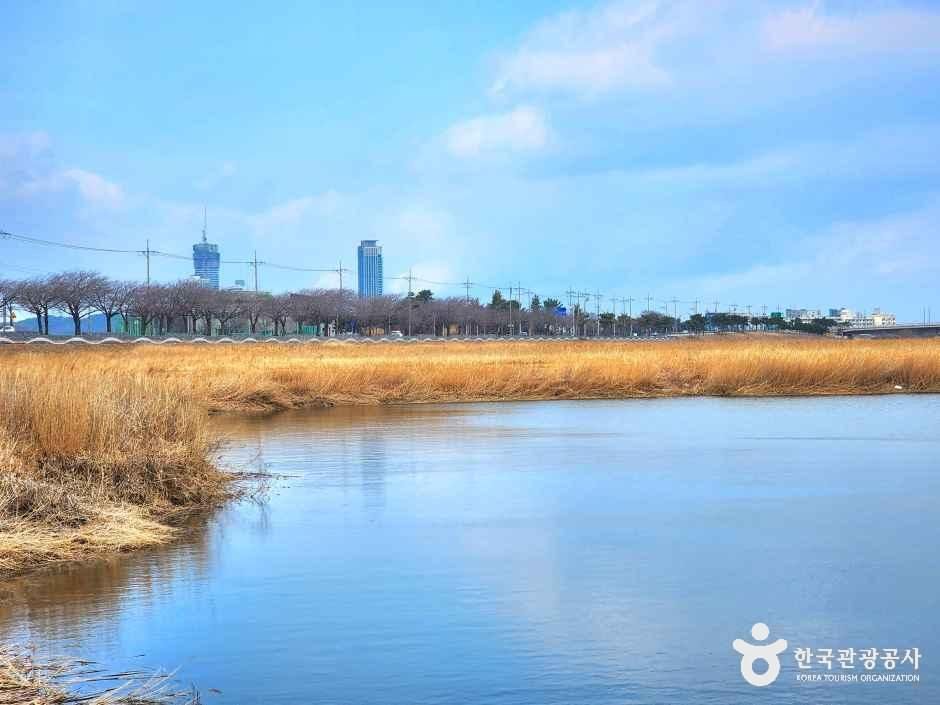 남대천연어생태공원