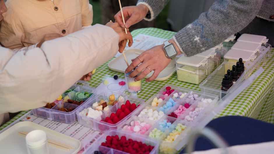 양재천 벚꽃 등(燈) 축제 이미지
