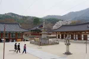 직지사 전경 2