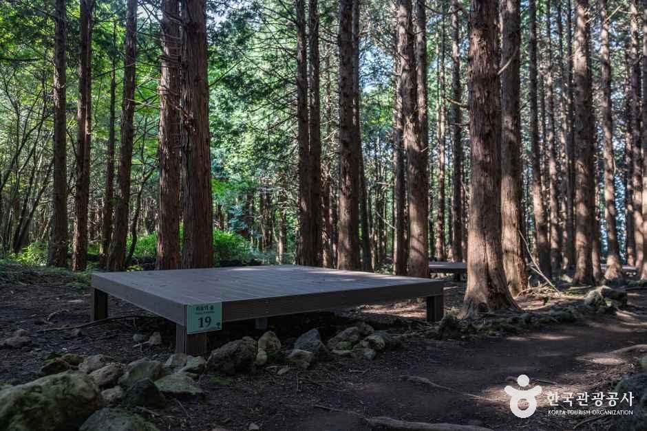 아라동 치유의 숲