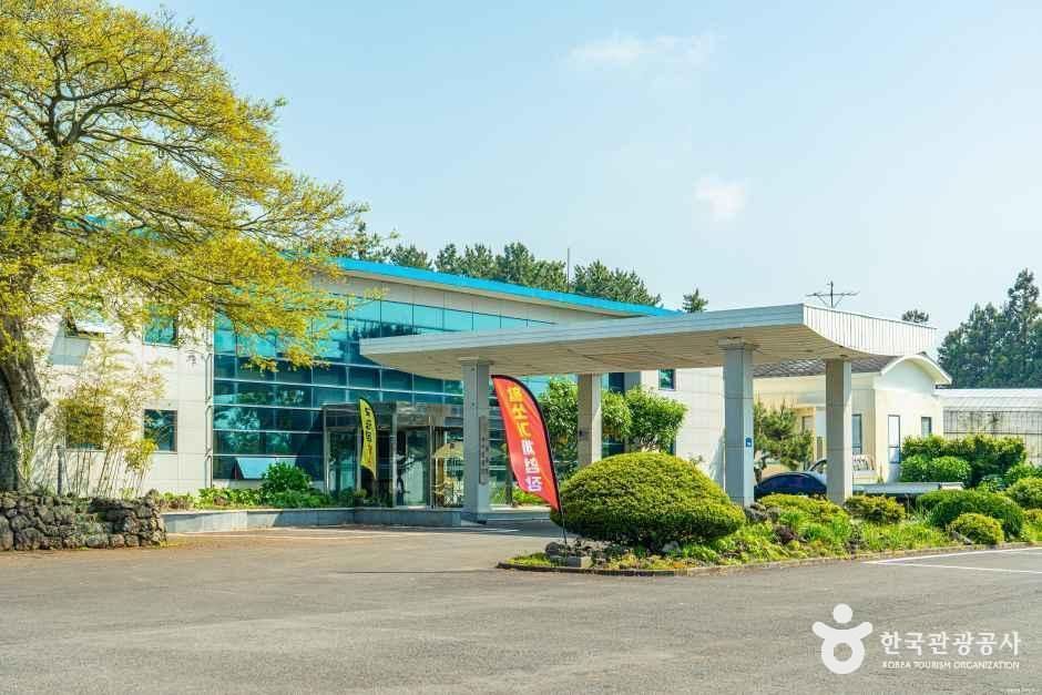 济州治愈冥想主题公园
