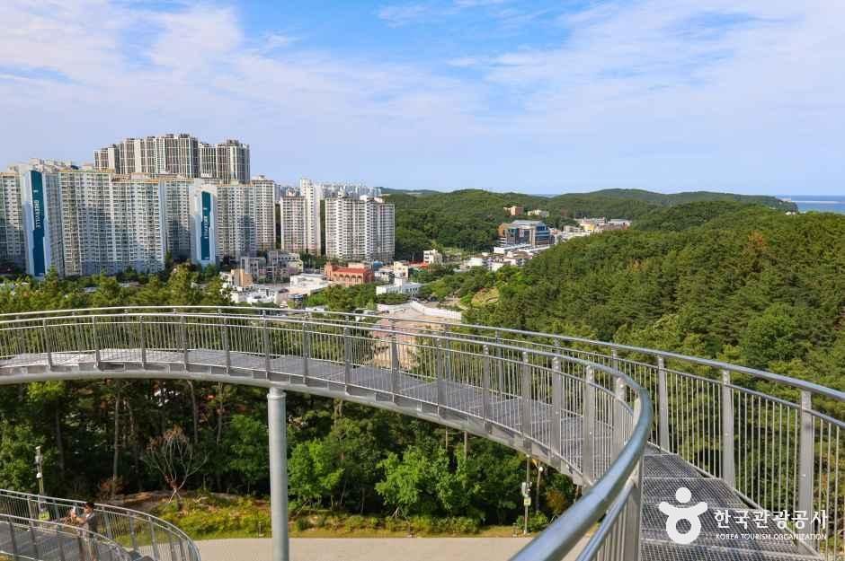 경북_포항_환호공원 스페이스워크_외부_8.jpg