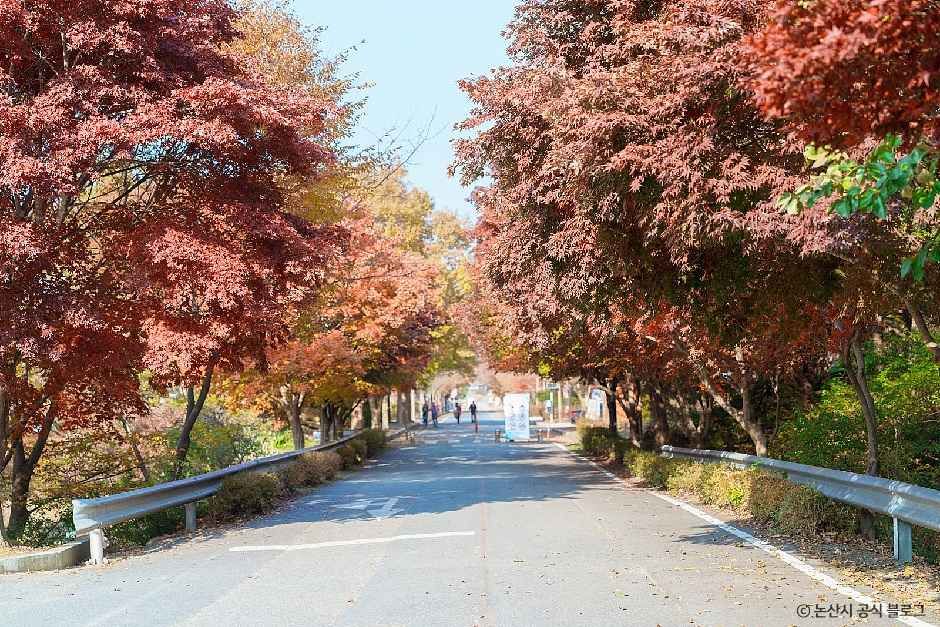 대둔산도립공원(논산)