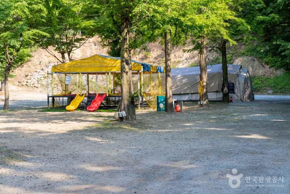 뮤즈캠핑장 사진 7