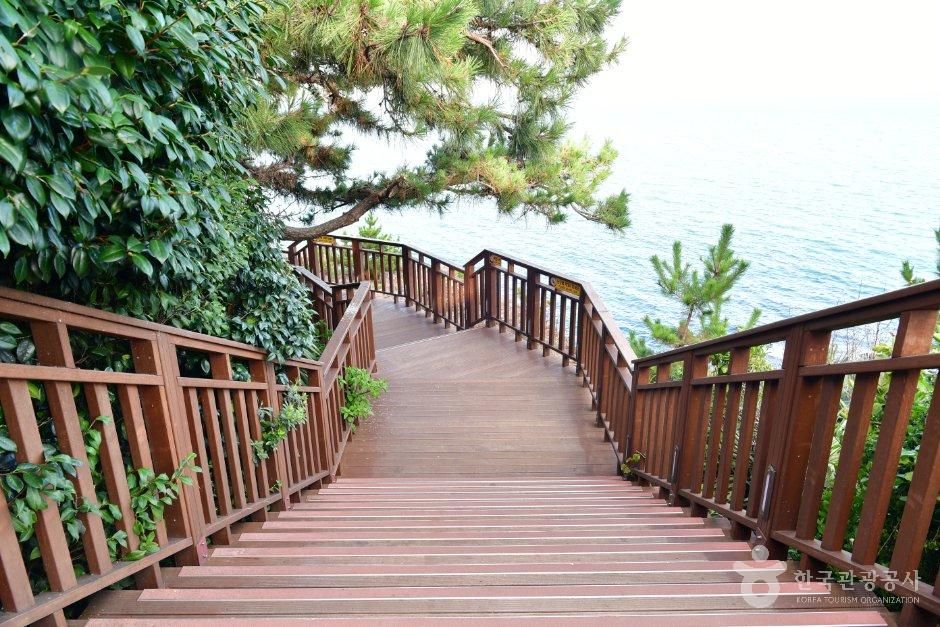 해운대 동백섬