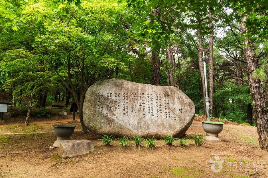 대전문학관