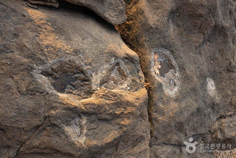 맨삽지(학성리 공룡발자국화석) 보령 외부