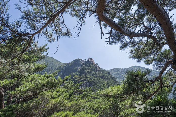 頭陀山